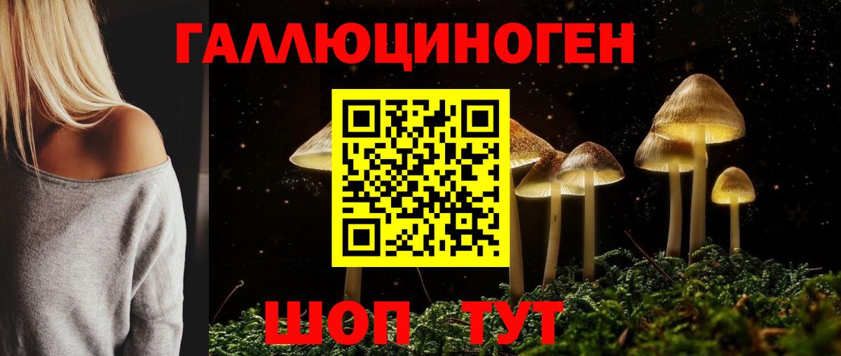 Тельмана  Псилоцибиновые грибы Psilocybe  Вход с VPN 